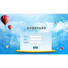 系統(tǒng)軟件開發(fā) 黑龍江與山東的行業(yè)特色與服務(wù)優(yōu)勢