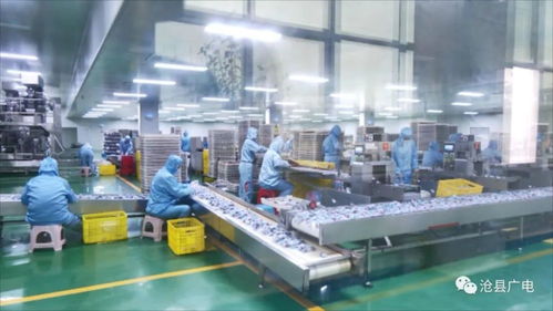 滄縣農(nóng)產(chǎn)品加工業(yè)數(shù)字化轉(zhuǎn)型研討會(huì)暨山東軟件開發(fā)合作對(duì)接會(huì)